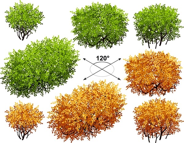 矮树丛设计矢量图片