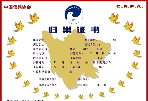 中国信鸽协会归巢证书图片