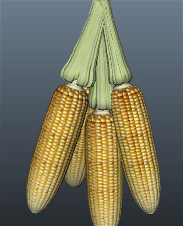 玉米棒游戏模型素材