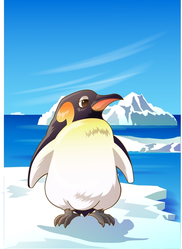 企鹅8