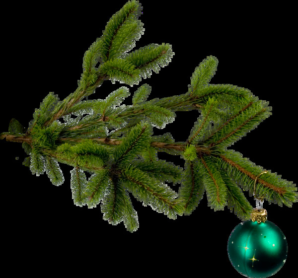 圣诞松树PNG元素