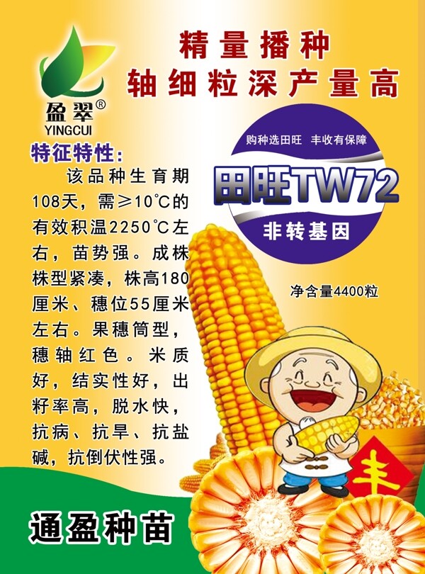 玉米种子田旺TW72