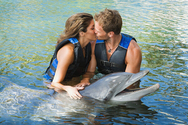 接吻的夫妻与海豚图片