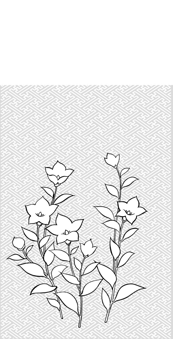 日本的植物花卉矢量素材图28