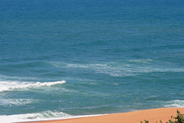 大海海浪风景