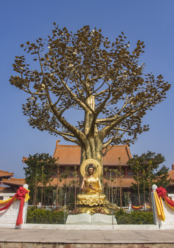 释迦牟尼佛陀金身和菩提树