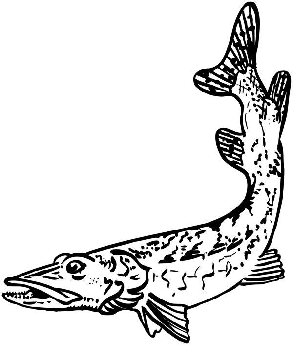 鱼水中动物矢量素材eps格式0023