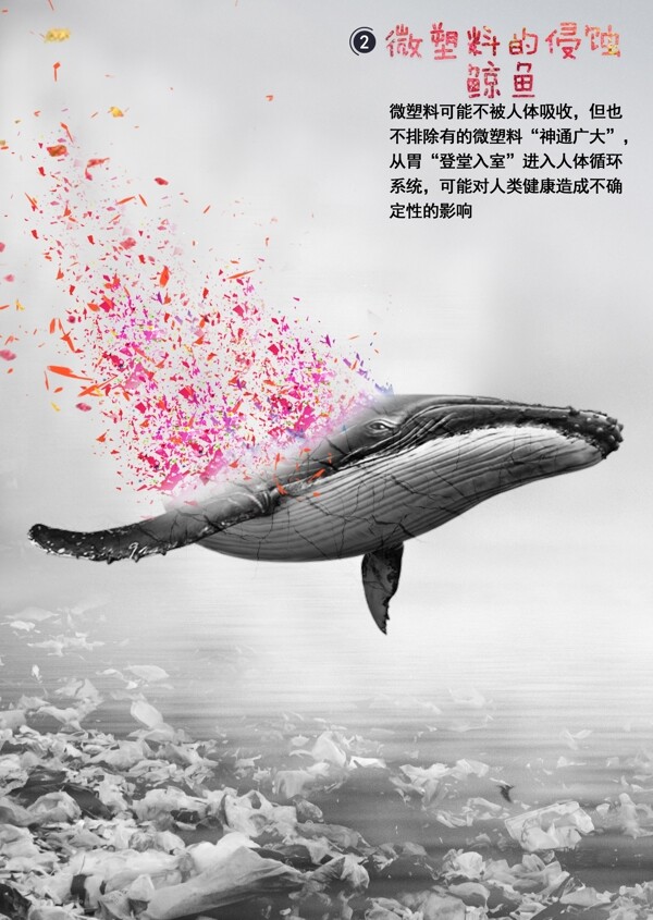 微塑料的侵蚀鲸鱼海报
