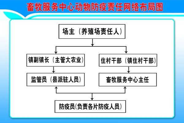 畜牧中心防疫网络图图片