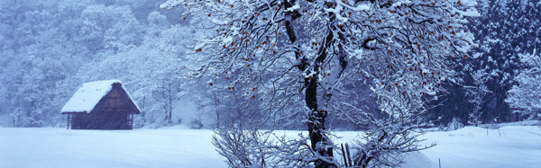 雪景背景图片素材14
