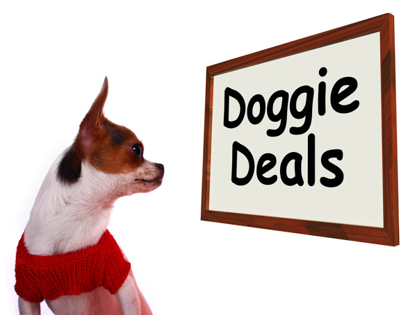 小狗狗签署协议显示讨价还价交易和间隙