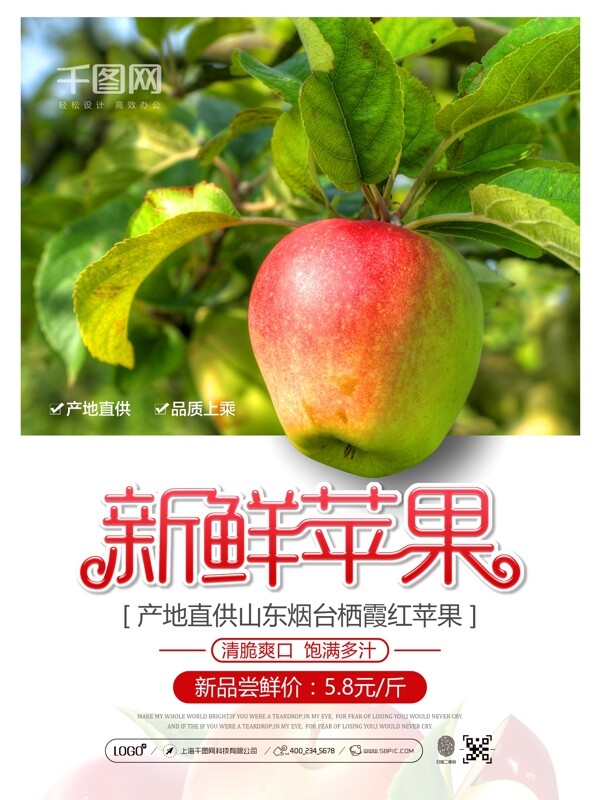 清新简约产地直供新鲜苹果促销宣传海报