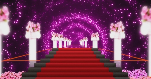 花柱红毯花朵婚礼庆典视频背景