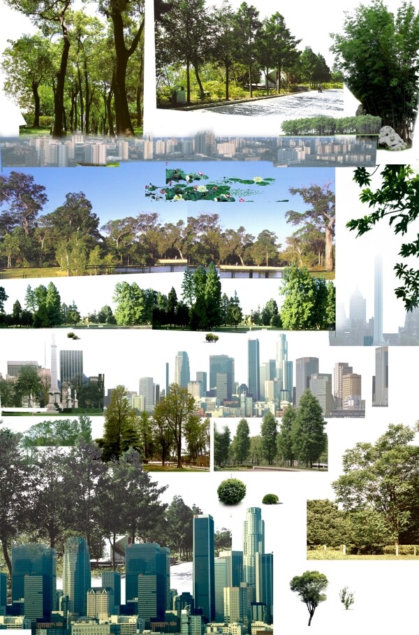 建筑园林配景植物图片