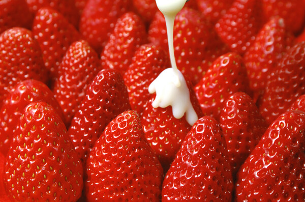 草莓094