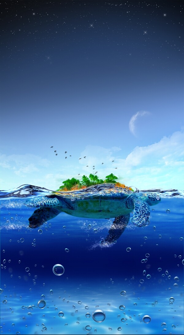 海龟岛海报图片