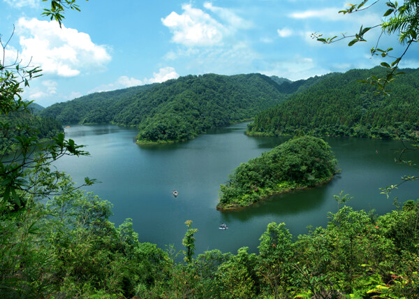 树植物水风景