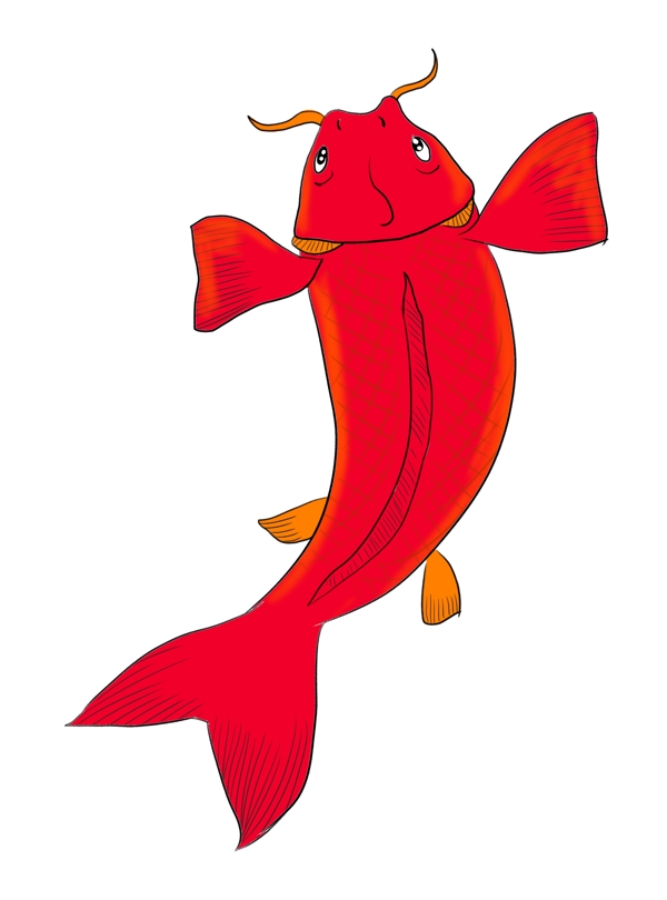 红色锦鲤鲤鱼手绘