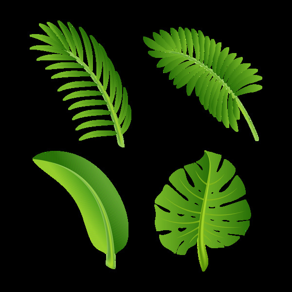 手绘绿色棕榈叶子免抠png透明图层素材