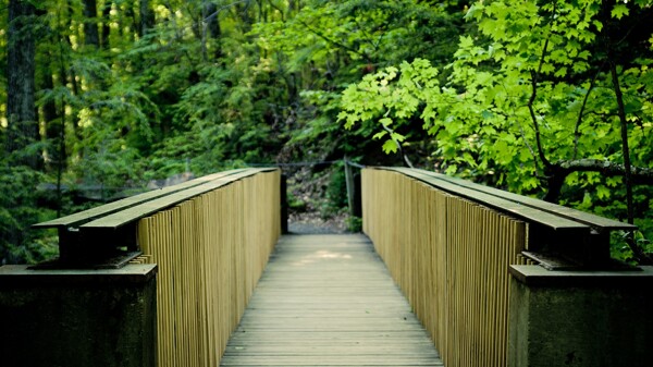 公园里的小桥风景图片