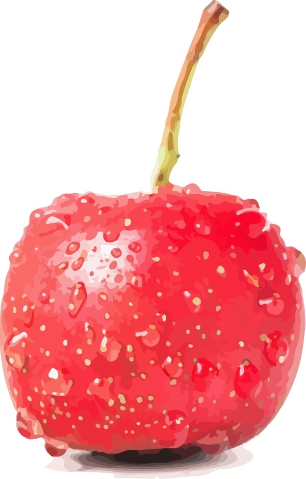 插画手绘红色山楂水果素材AI矢量水果元素