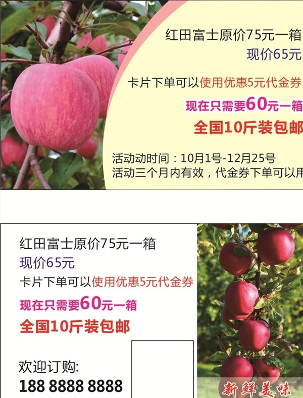 红富士苹果名片图片