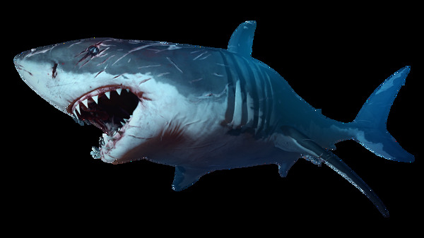 凶恶的大鲨鱼免抠png透明图层素材