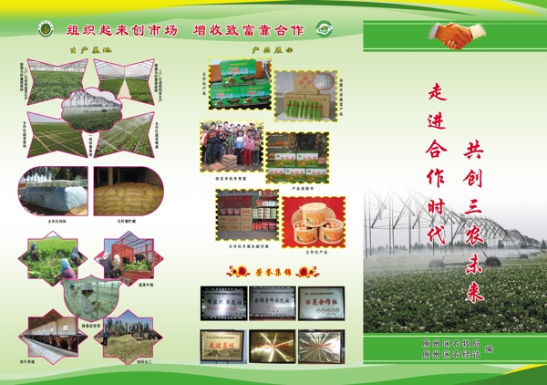 农牧局三折页图片