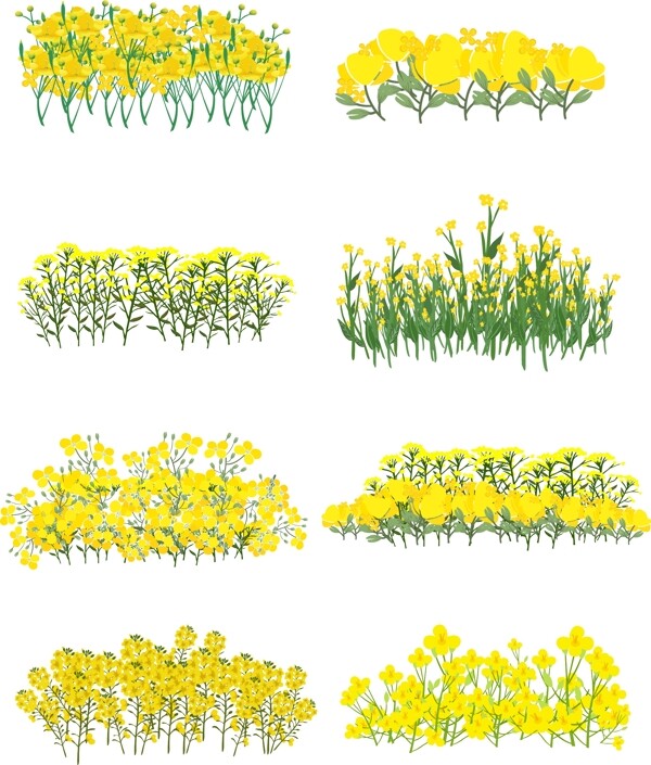 手绘植物春天小清新油菜花丛
