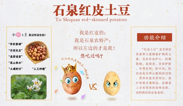 红皮土豆淘宝海报