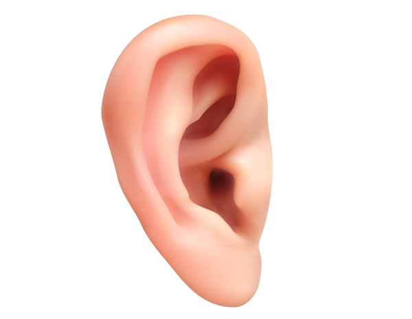 卡通人体耳朵元素