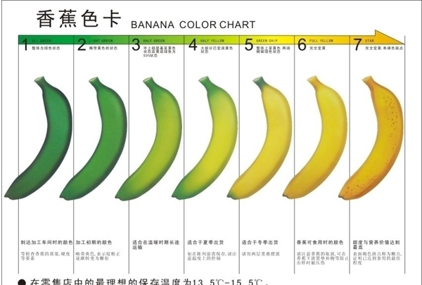香蕉色卡正面图片