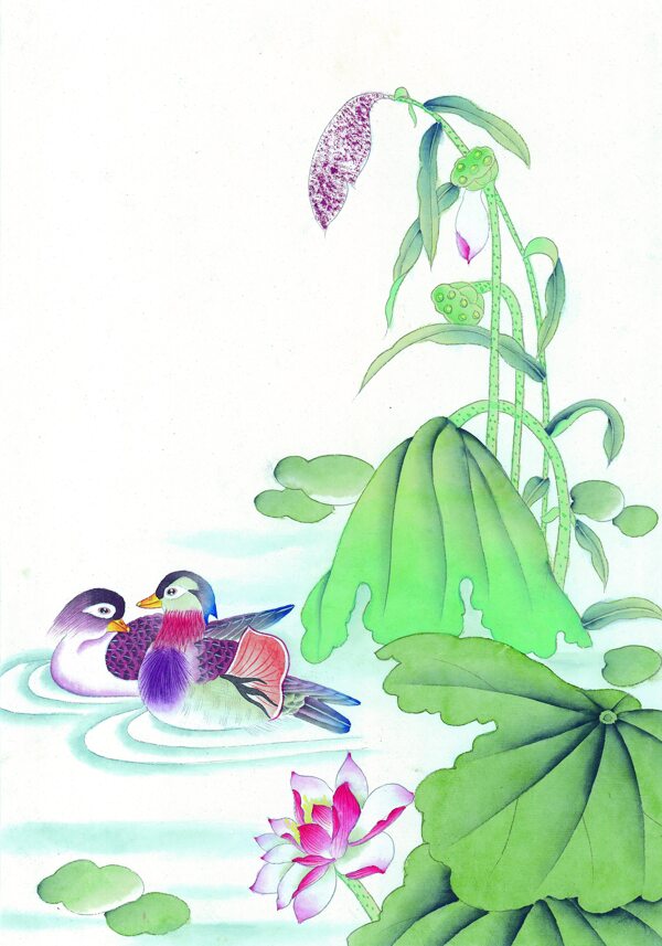 中国花鸟画