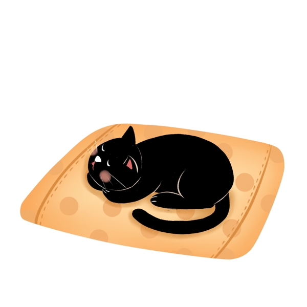 地毯上的黑猫图案元素