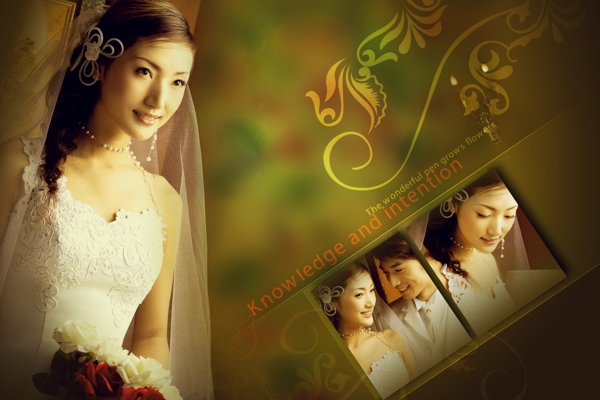 2009婚纱摄影模板