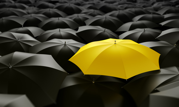 黄色雨伞与黑色雨伞
