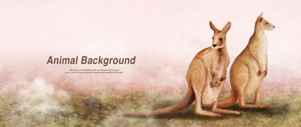 彩铅画效果动物分层背景袋鼠