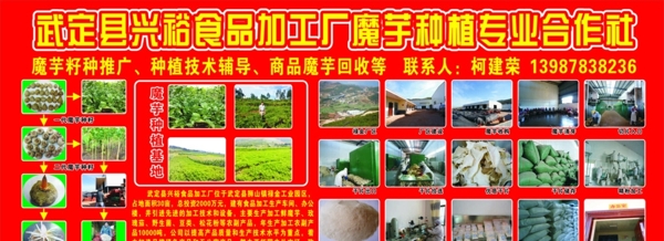 兴裕魔芋种植专业合作社14版图片