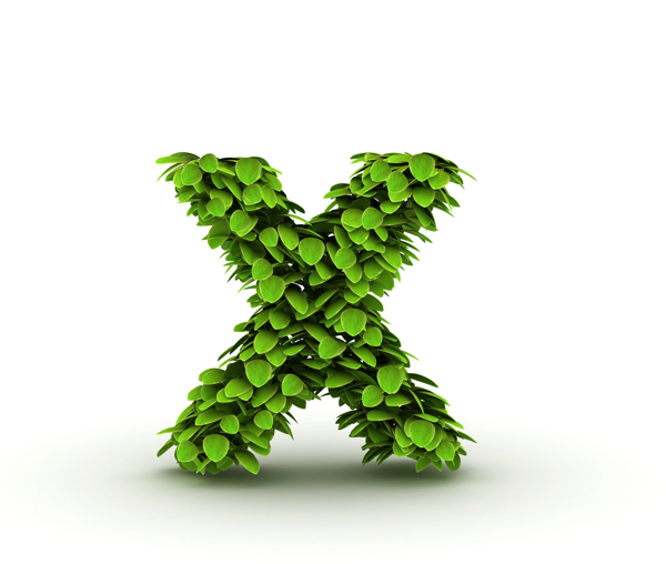 绿叶组成的字母x