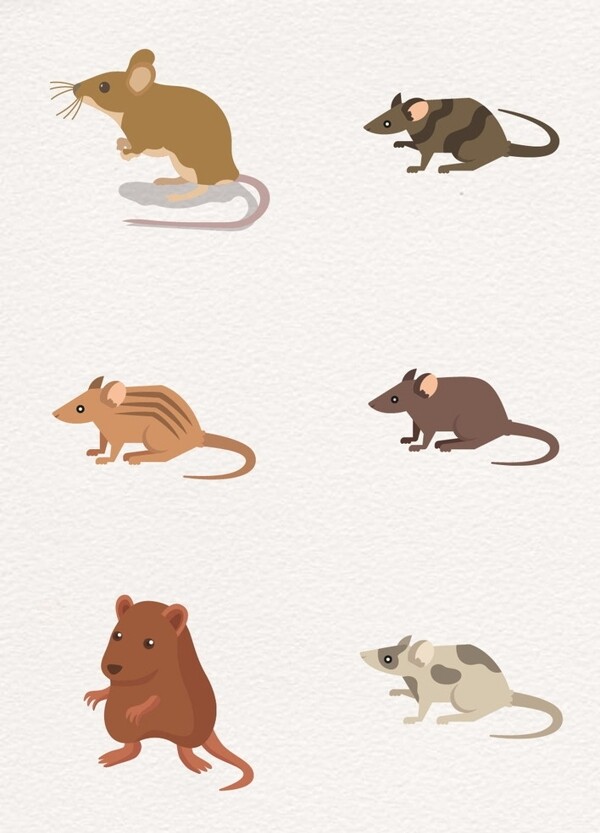 可爱花纹设计卡通老鼠