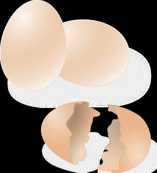 鸡蛋的剪辑艺术2
