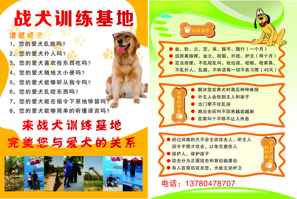 战犬训练基地彩页养狗