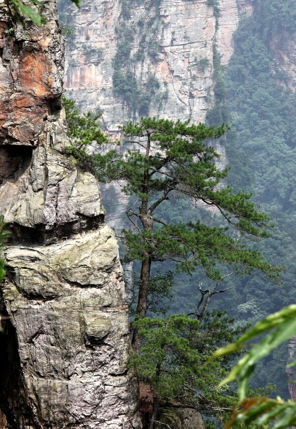 张家界奇石山峰风光图片