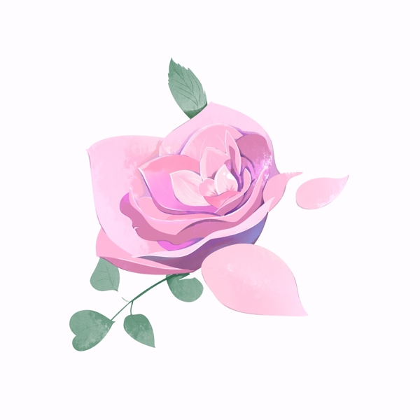 手绘水彩粉红色玫瑰花浪漫节日植物元素