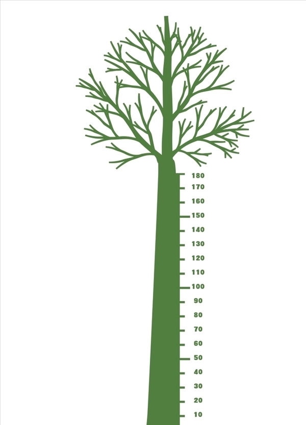 树量身高