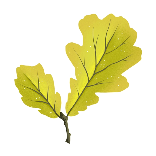 黄色立体树叶插图