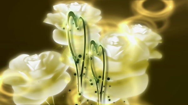 花瓣花卉视频背景