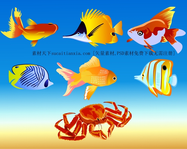 海洋鱼类与螃蟹矢量图