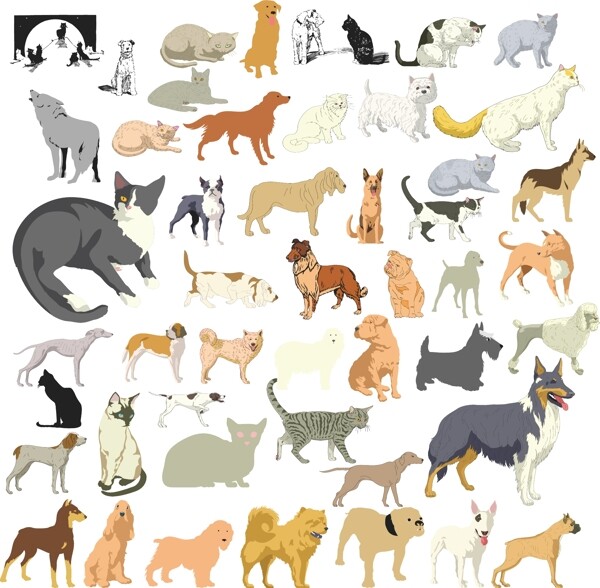 各品种狗猫姿态图案