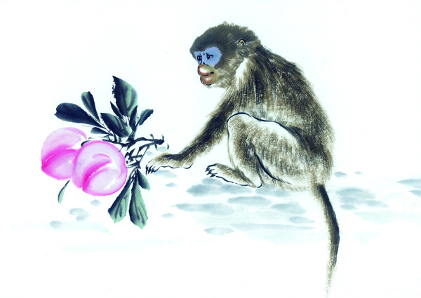 十二生肖猴国画白描